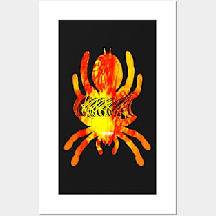 Tarantula Silhouette 59 (Tie Dye) Posters and Art